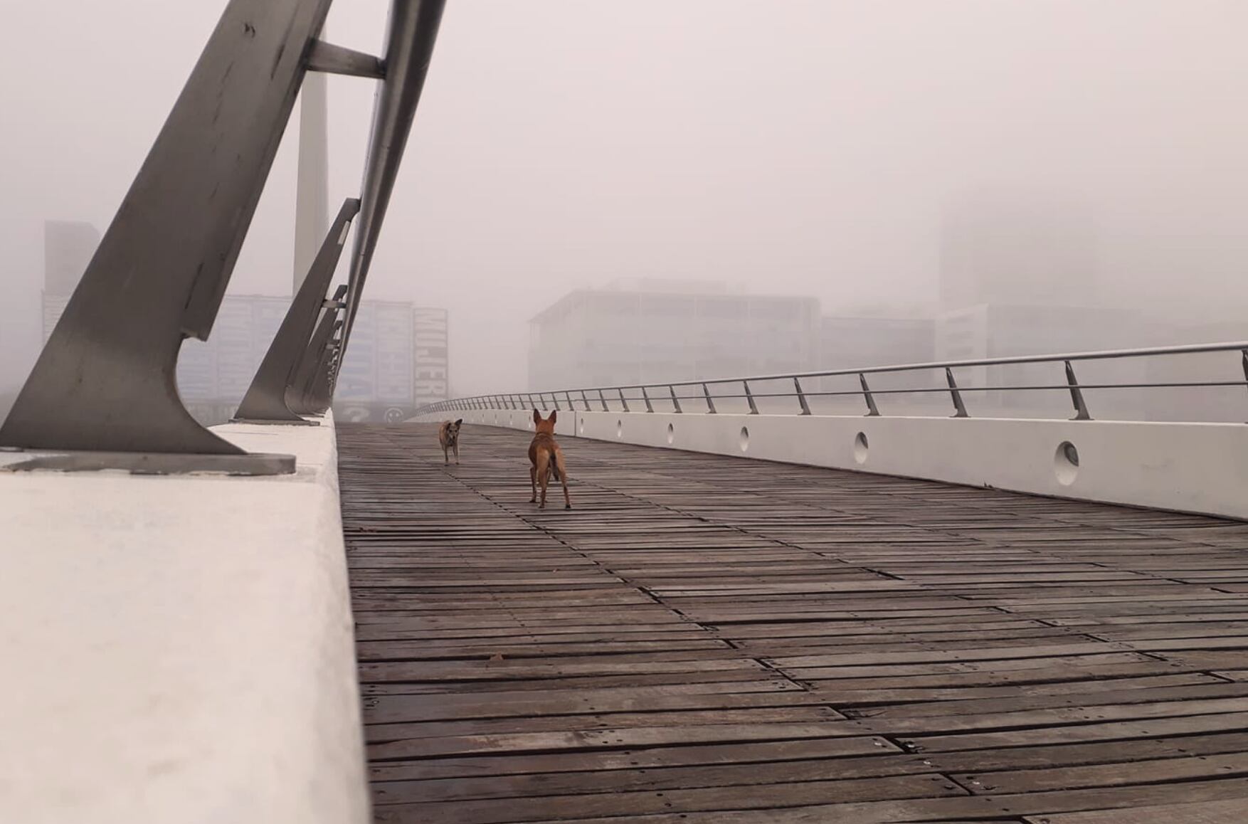 Una distopía post apocalíptica, en la que la Tierra ha quedado despoblada. 