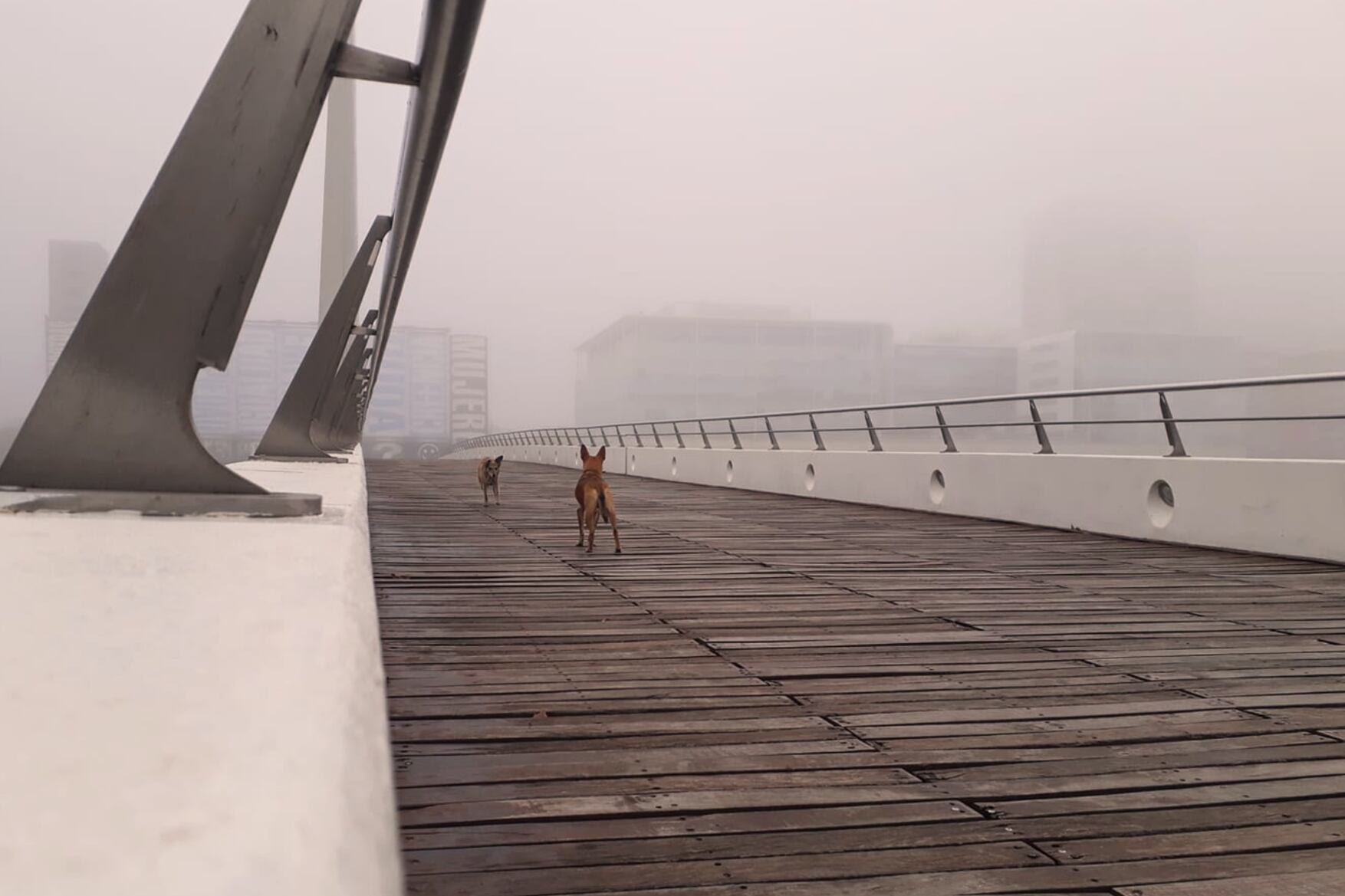 Una distopía post apocalíptica, en la que la Tierra ha quedado despoblada.