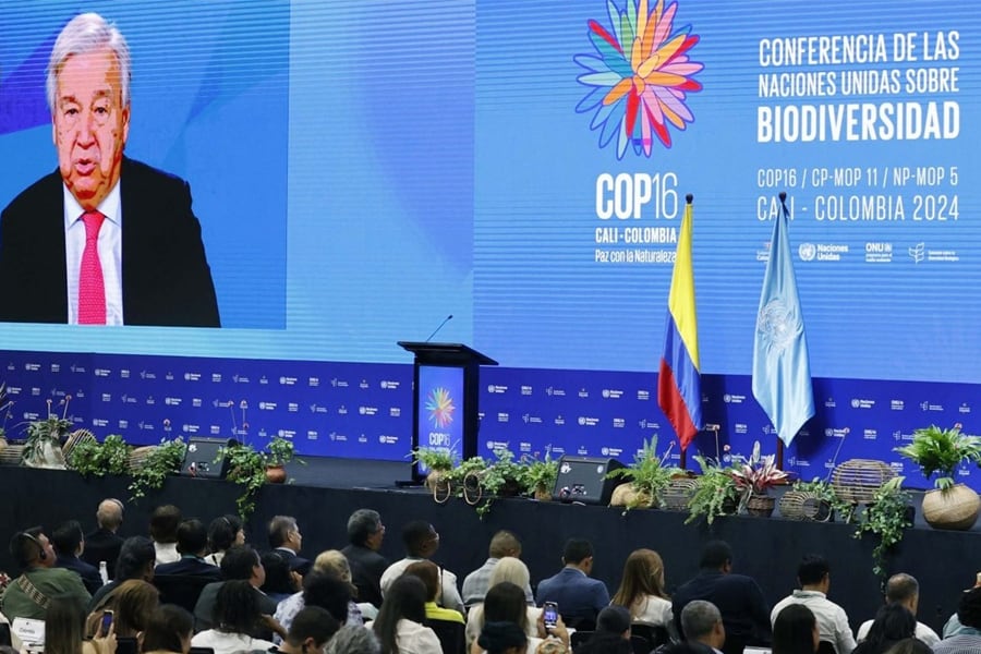 Inauguración de la COP16 por la biodiversidad, por video el secretario general de Naciones Unidas, António Guterres. Imagen: EFE/Mauricio Dueñas Castañeda