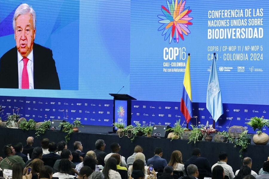 Inauguración de la COP16 por la biodiversidad, por video el secretario general de Naciones Unidas, António Guterres. Imagen: EFE/Mauricio Dueñas Castañeda
