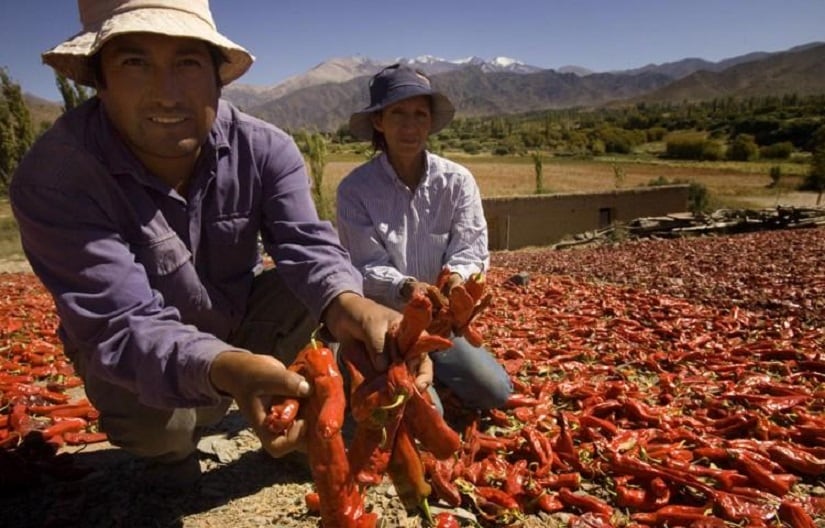 Productores de los Valles Calchaquíes de Salta
