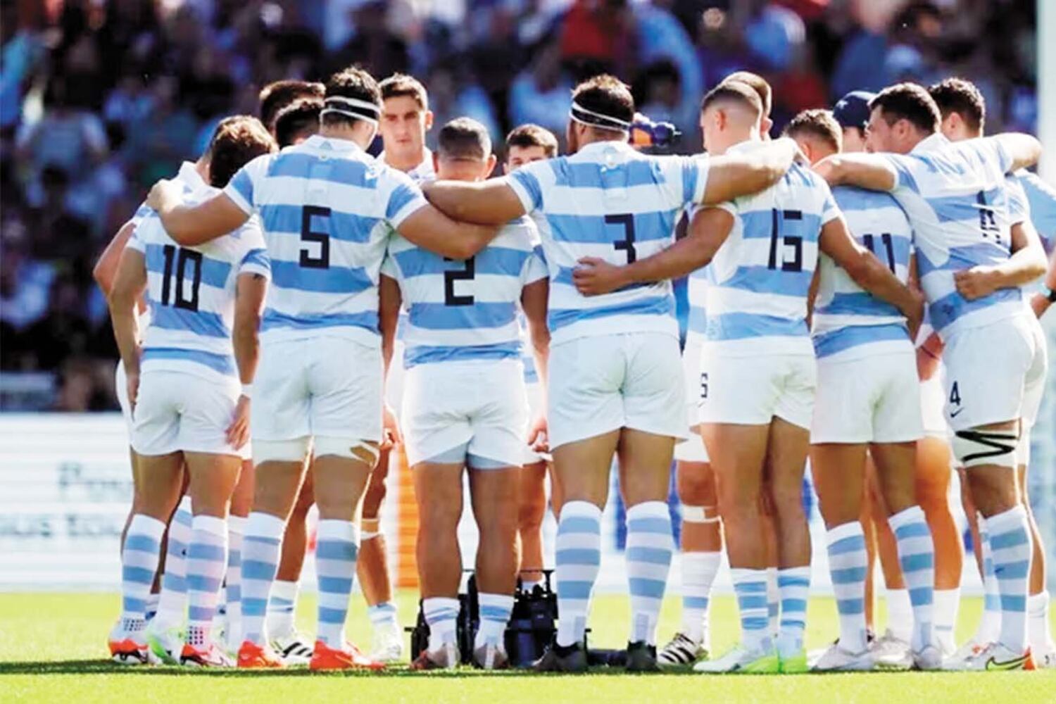 Los Pumas lucirán la nueva indumentaria este año.
