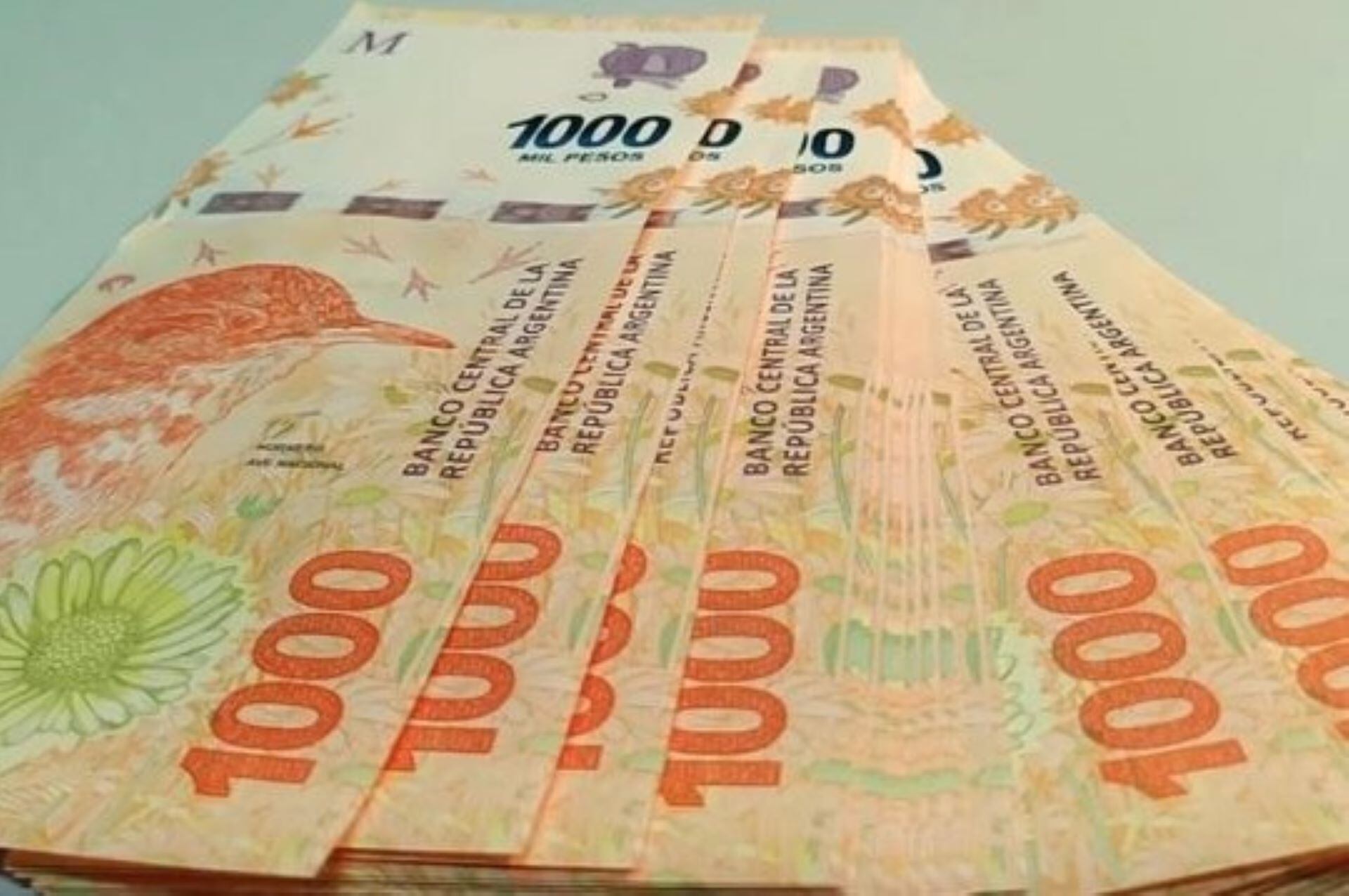 El beneficio se recibirá en dos cuotas de 9000 pesos, en mayo y junio. 