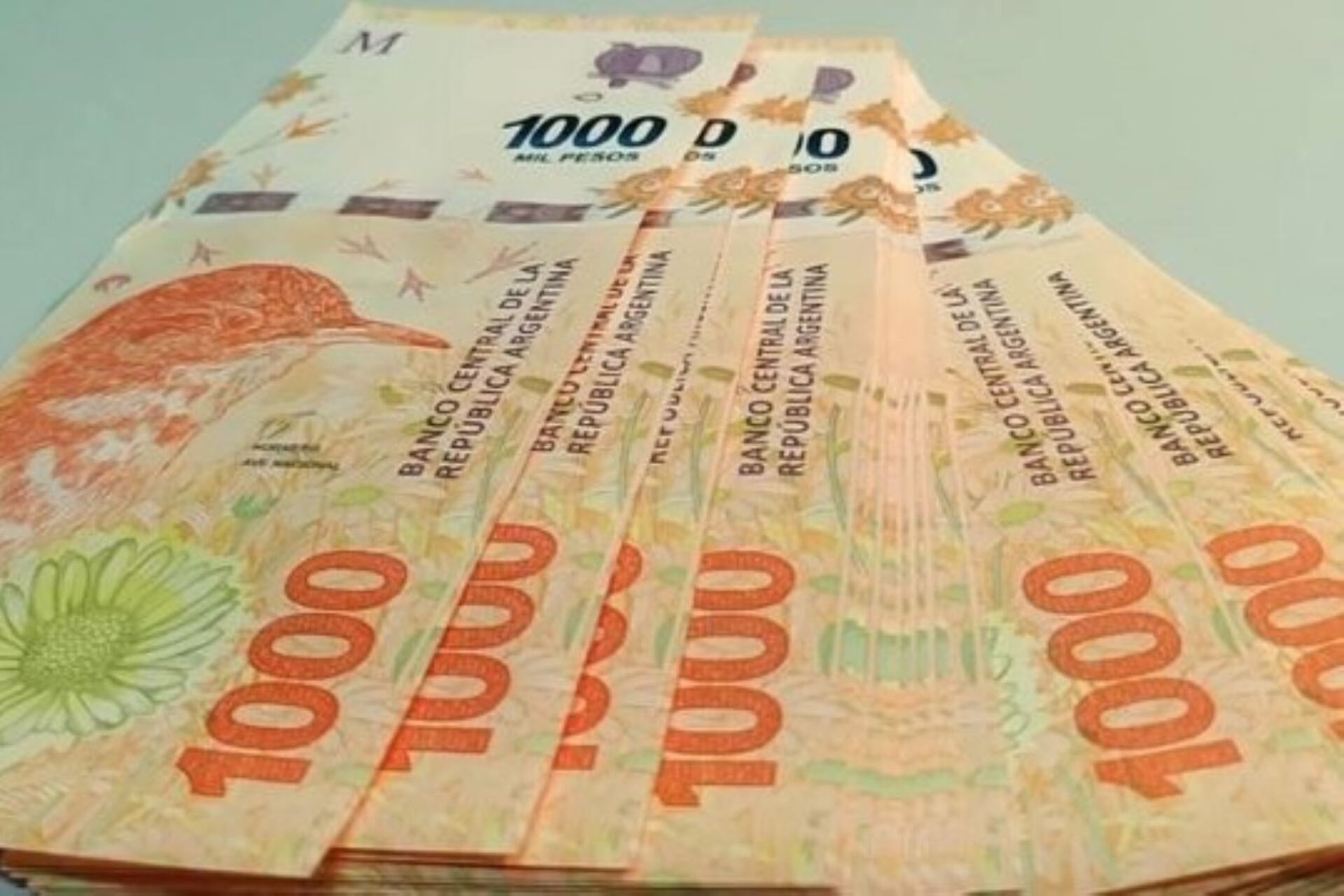 El beneficio se recibirá en dos cuotas de 9000 pesos, en mayo y junio.