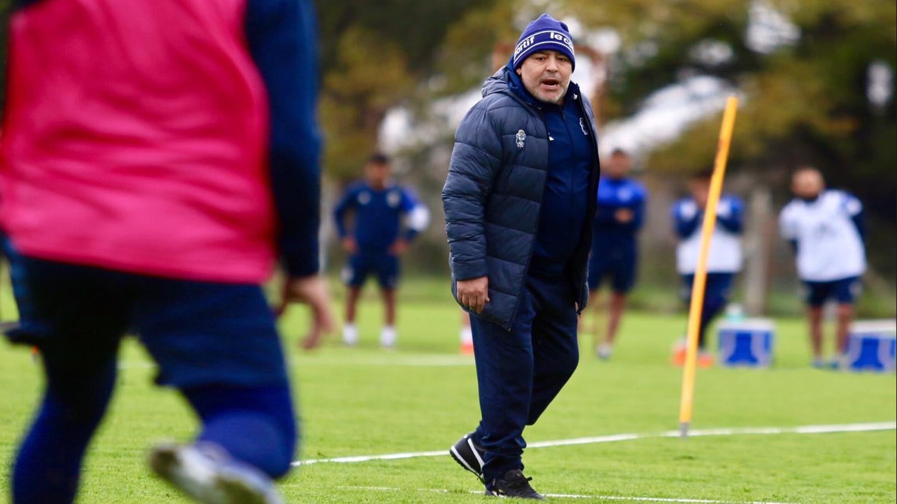 Diego Maradona, DT de Gimnasia.