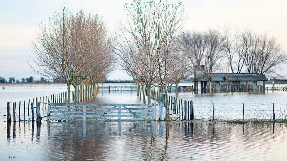 Más de veinte millones de hectáreas en la Pampa Húmeda están bajo el agua.