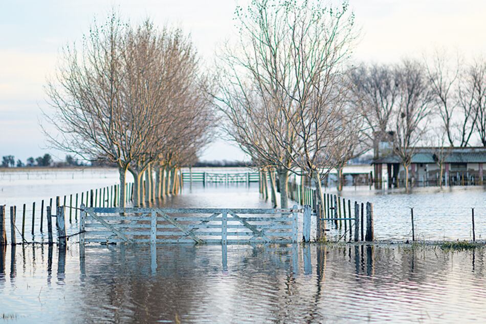 Más de veinte millones de hectáreas en la Pampa Húmeda están bajo el agua.