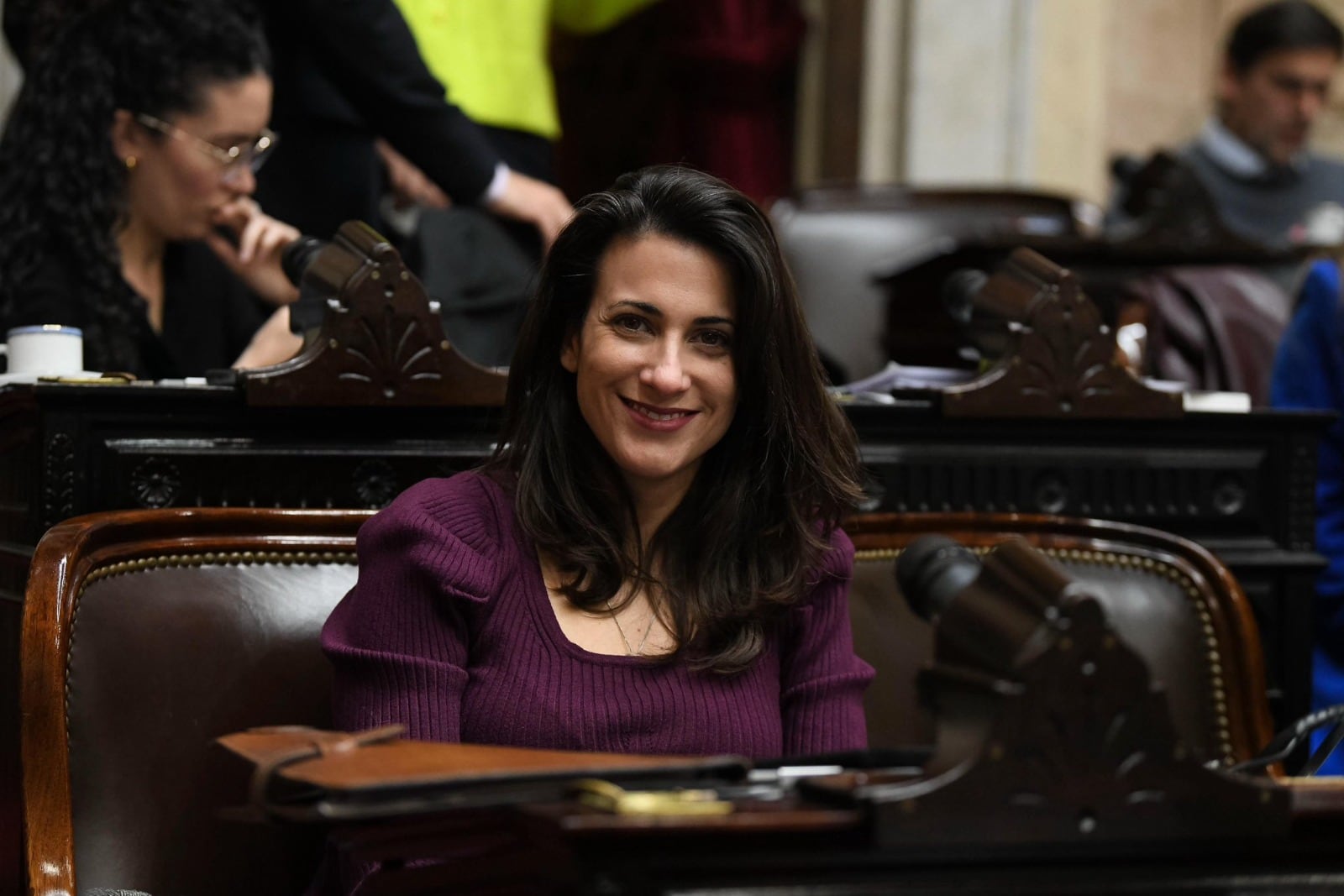 Constanza Alonso en su banca de la Cámara de Diputados.