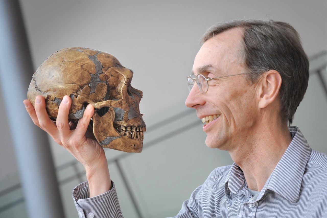 Svante Pääbo con un cráneo de Neandertal, del que determinó el genoma.