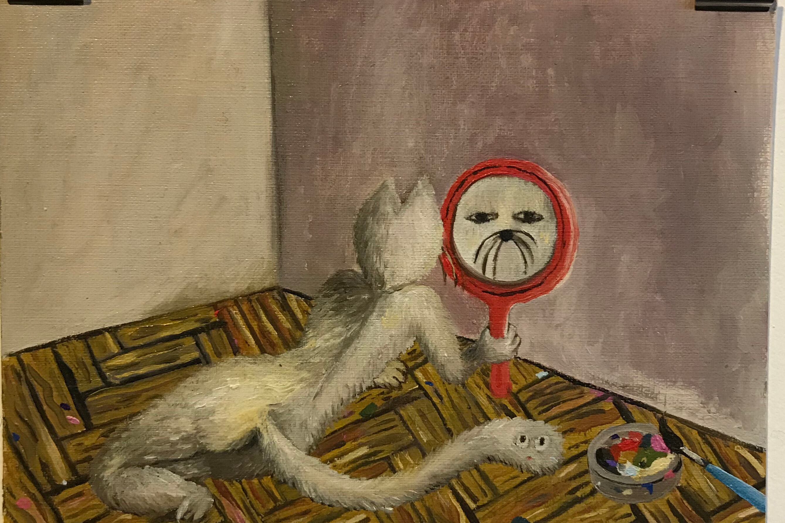 Power Paola- Cato y su cola