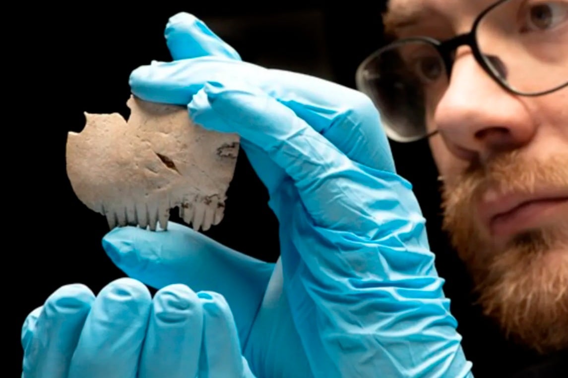 Un peine tallado en hueso, artesanía vikinga en el Reino Unido