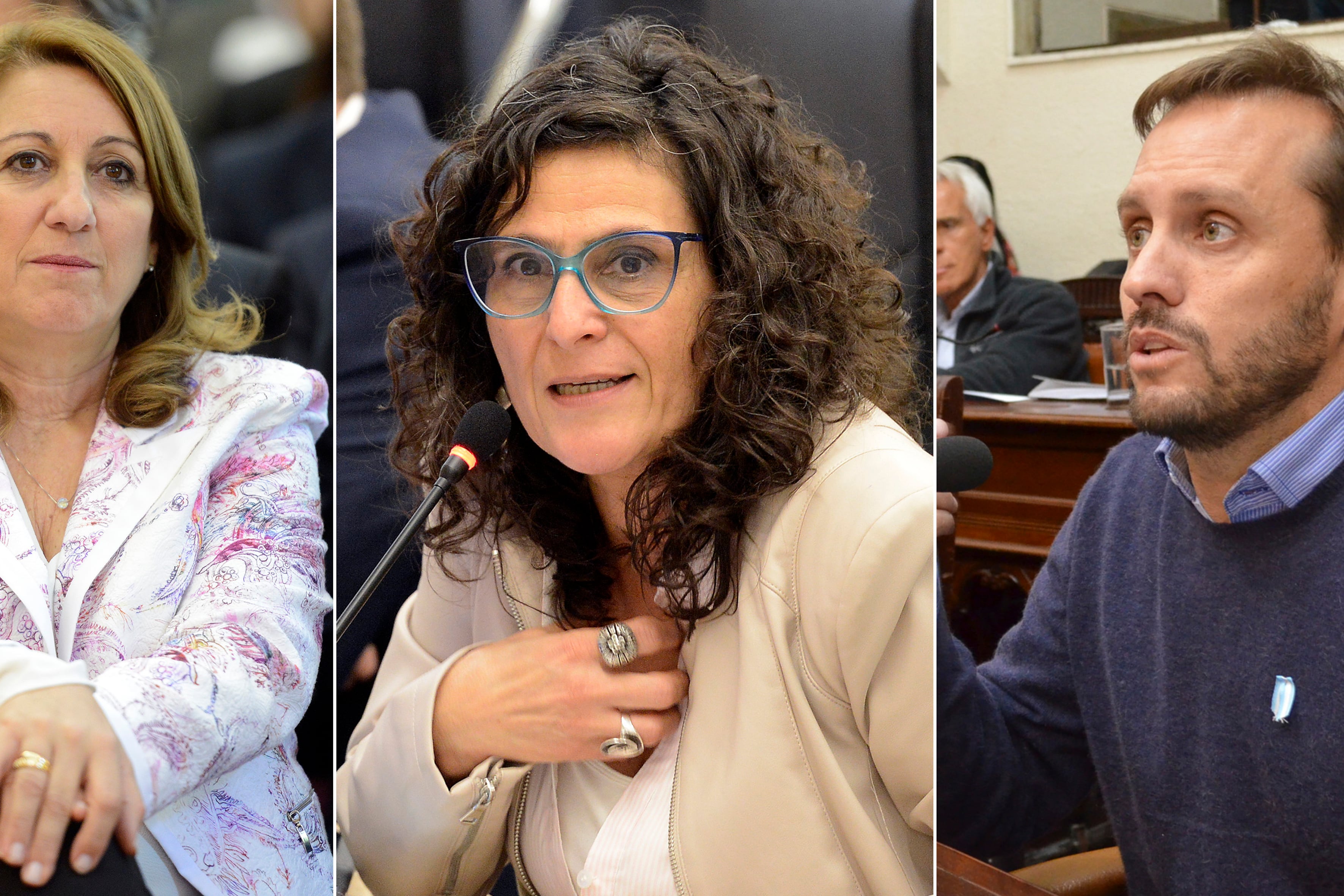 Mónica Fein va para senadora. Norma López por el peronismo. Martín Rosúa por Cambiemos