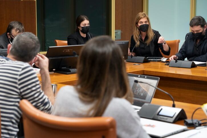 La portavoz de SOS Racismo Bizkaia junto a la abogada de Silvia y al cónsul de Bolivia en el Parlamento de Gasteiz.
