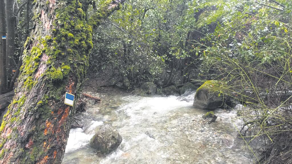 El símbolo celeste y blanco de la Huella Andina, el sendero de recorrido más largo del país.