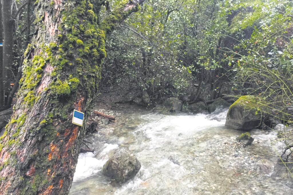 El símbolo celeste y blanco de la Huella Andina, el sendero de recorrido más largo del país.