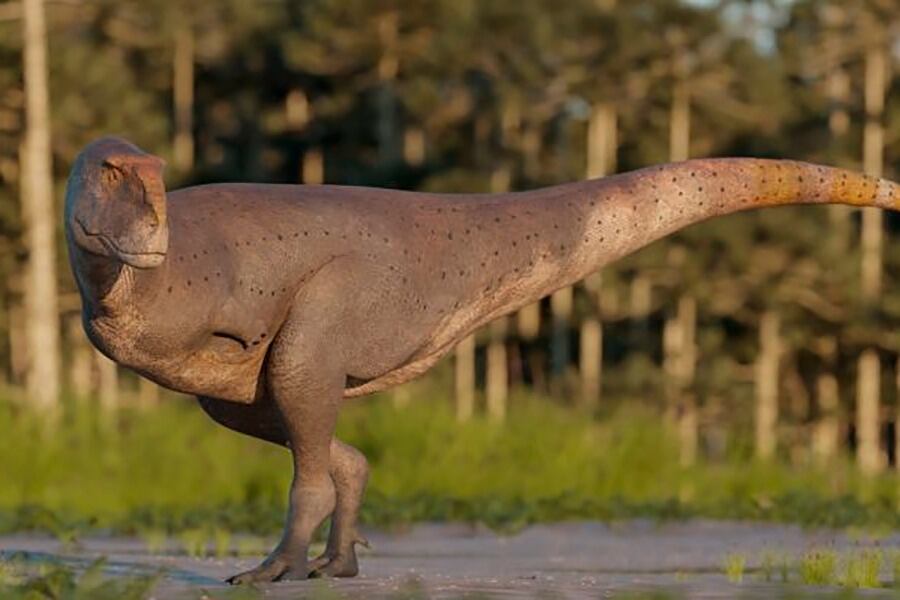 Koleken inakayali, la nueva especie que se halló en la Patagonia. 