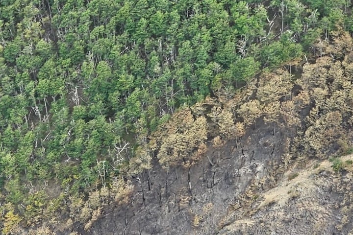 En la actualidad existen 473 agentes afectados al operativo 