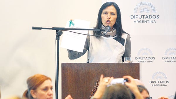 Claudia Piñeiro despertó una ovación en el segundo día de debate por el aborto.