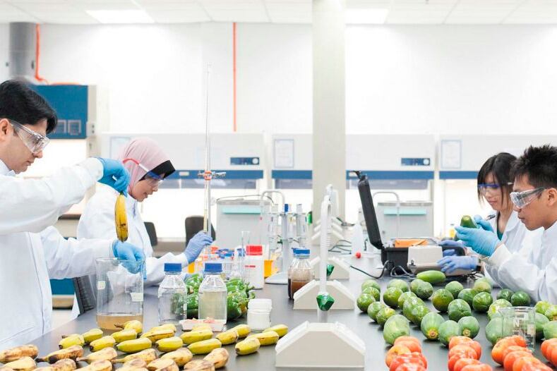 En 2019, al cotizar en bolsa, Beyond Meat marcó un hito financiero para este tipo de emprendimientos.