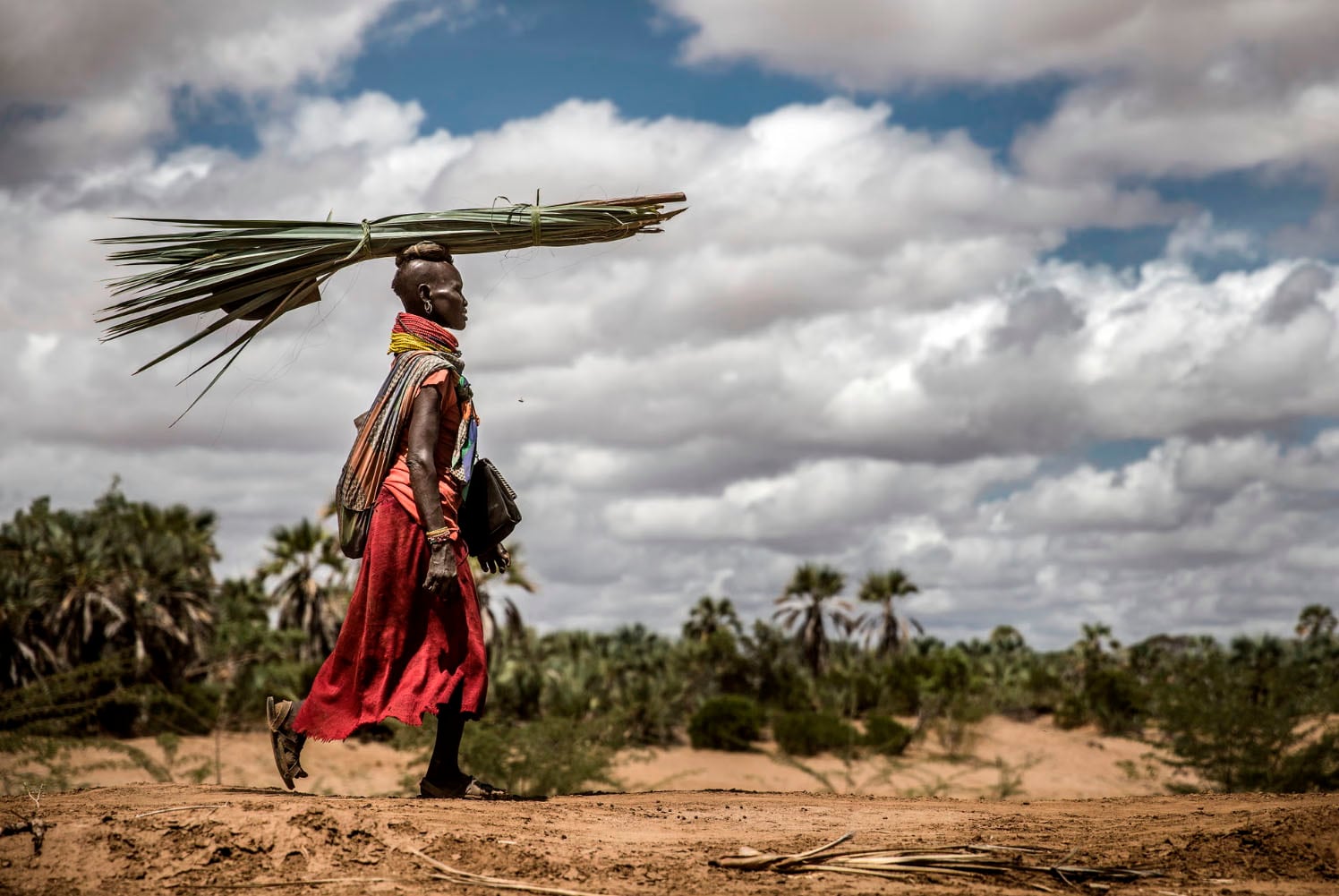 La adaptación del pueblo Turkana en Kenia.