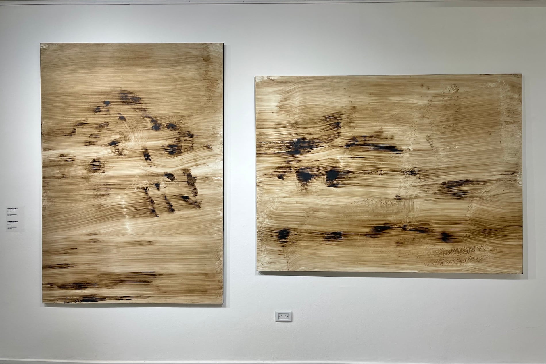 De la serie sobre "Vistas del Cerro Blanco", de C.Gómez Centurión. Abajo: Pintura de C.G.C.