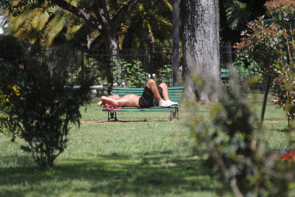 El próximo 25 de diciembre será feriado nacional en Argentina. Imagen: Guadalupe Lombardo.