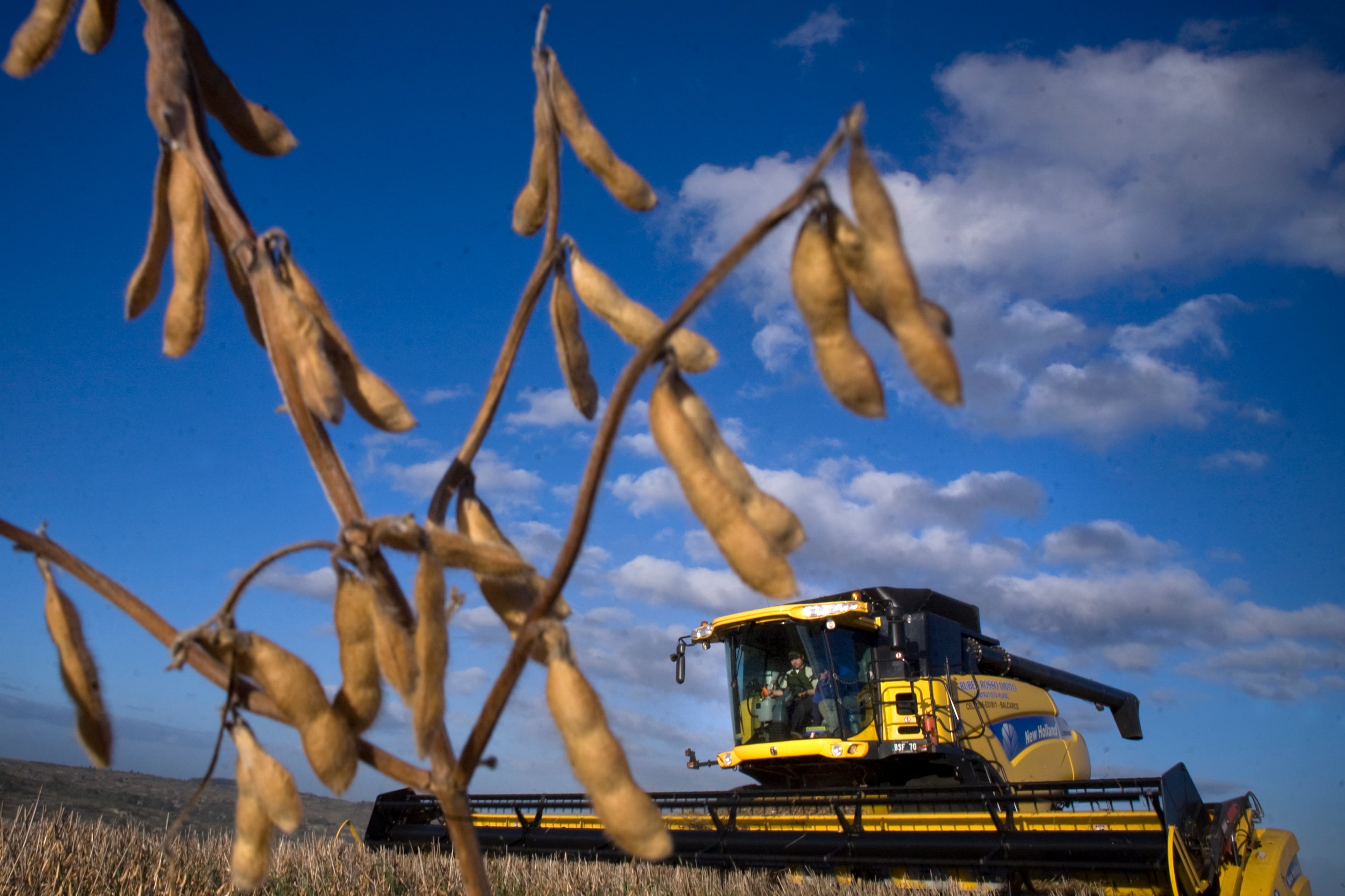 La cosecha superó las estimación previas: 57 millones de toneladas de maíz y 55,3 millones de soja, los principales aportes.