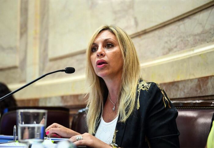 Sacnun cree que hacia fin de mes el proyecto va a tener media sanción del Senado, probablemente la semana que viene y le pareció "una lástima" que Juntos por el Cambio no apoye un proyecto que le parece "muy bueno".