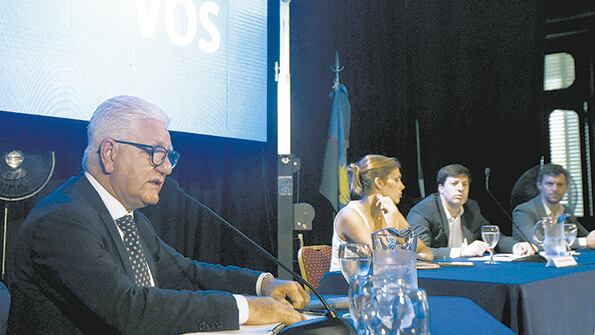 Rafaelle Sardella, presidente de ABSA, justificó los nuevos aumentos en audiencia pública.