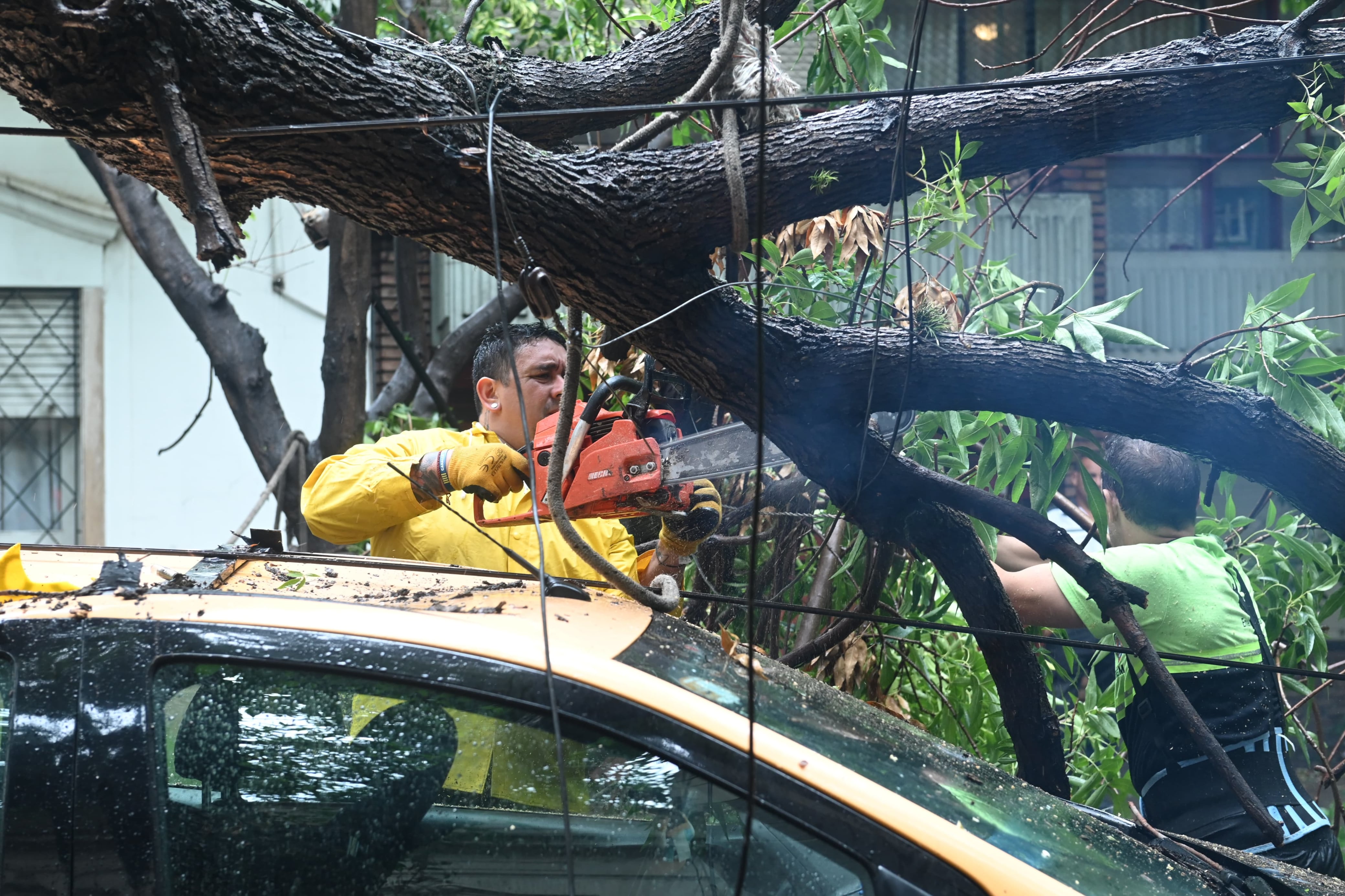 La Municipalidad destinó 600 trabajadores a solucionar las contingencias.