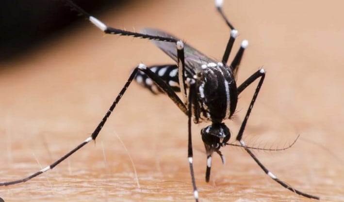 Los especialistas de la salud insisten con la importancia de la campaña de prevención. Imagen: Freepik.