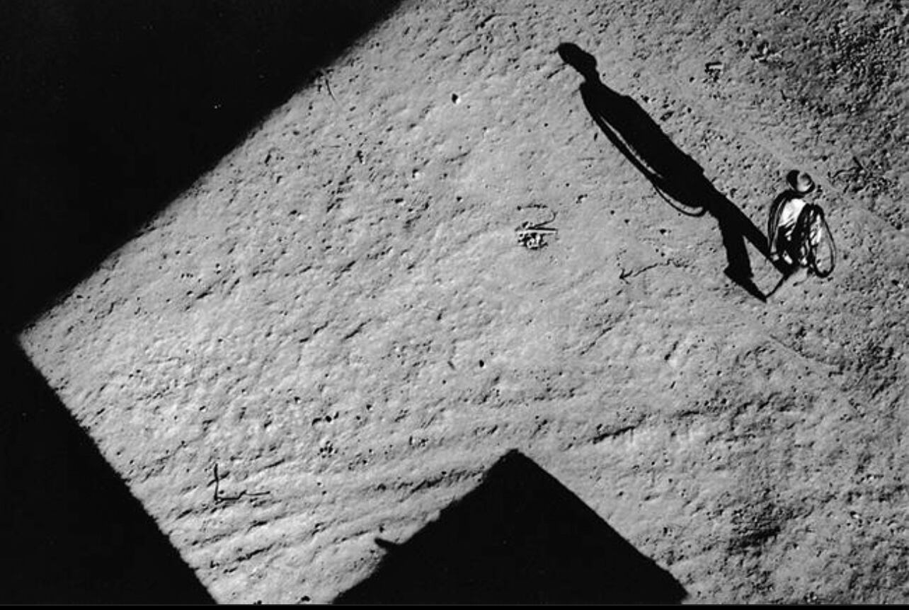 "La Sombra", fotografía de 1962 de Alicia D'Amico.