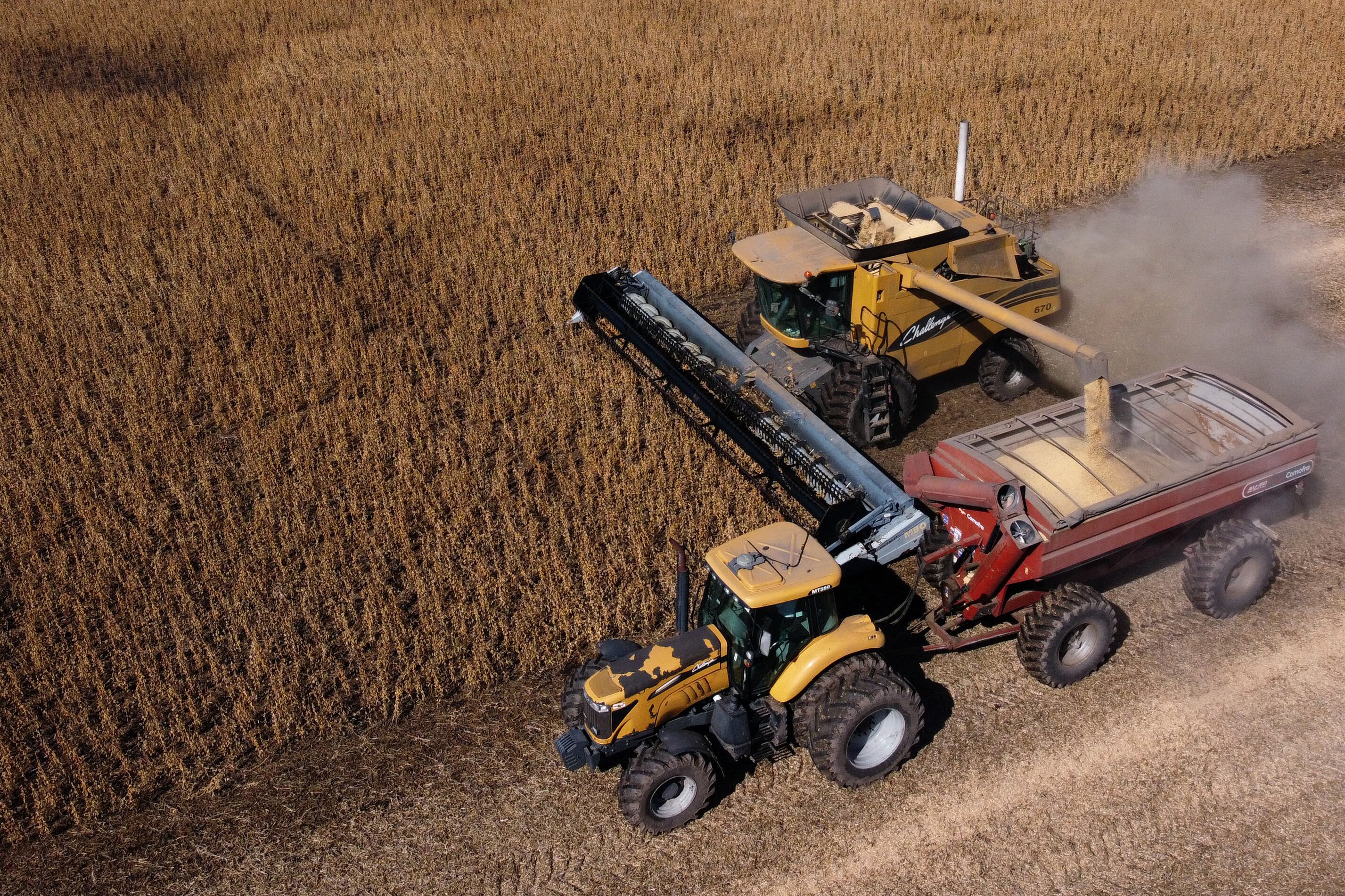 Los productores que se beneficiaron del "dólar soja" no podrán acceder al mercado de cambios.