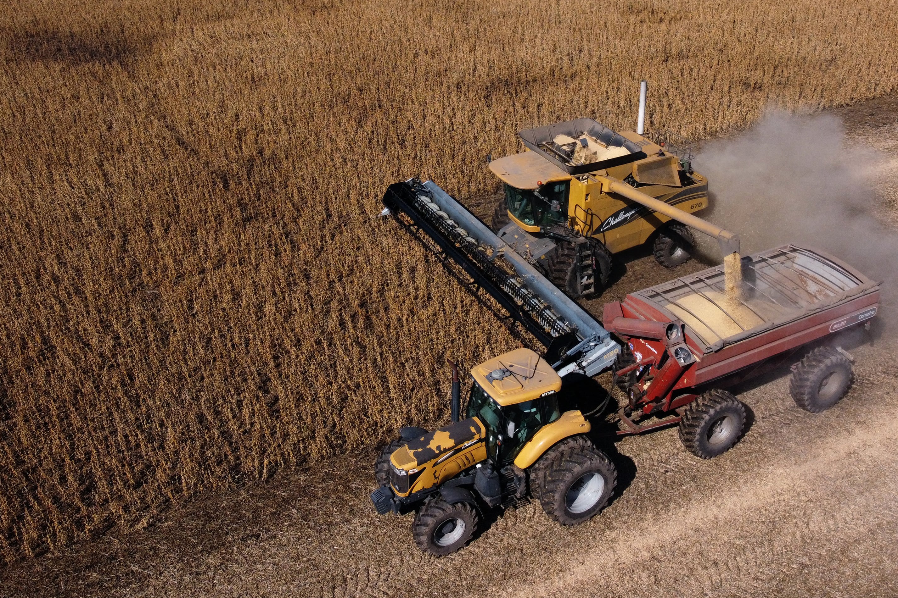 Los productores que se beneficiaron del "dólar soja" no podrán acceder al mercado de cambios.