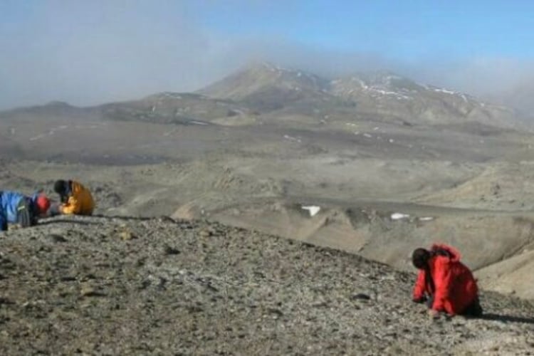 Los investigadores hicieron trabajos de campo en 2011 y 2013.