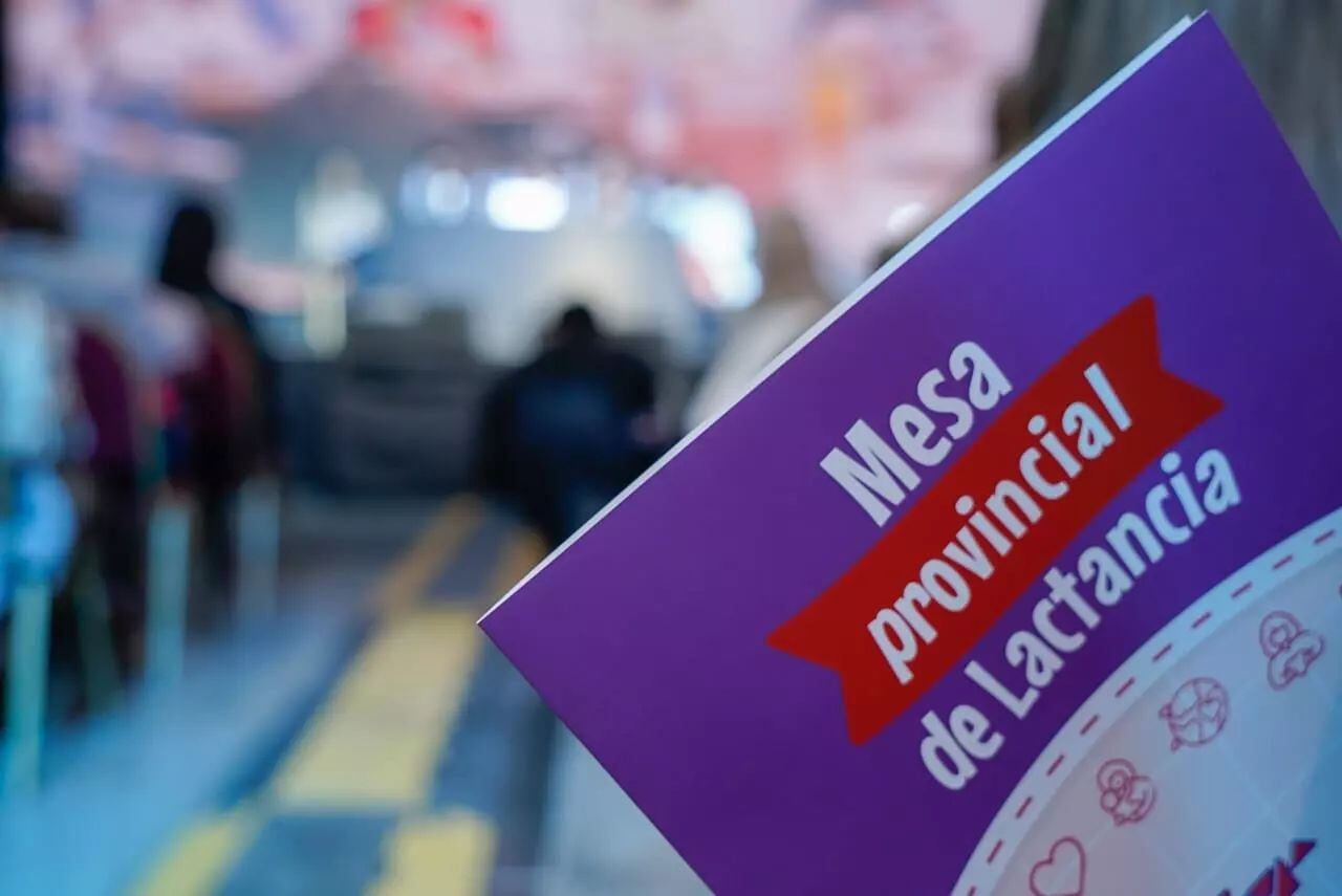 La guía de buenas prácticas fue presentada en la Feria del Libro.