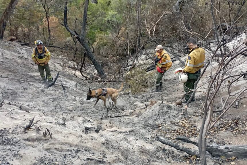 Incendios en la Patagonia argentina.