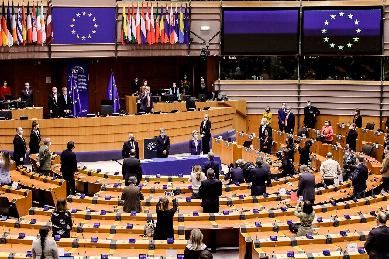 La propuesta de la CE debe pasar por el Parlamento Europeo.