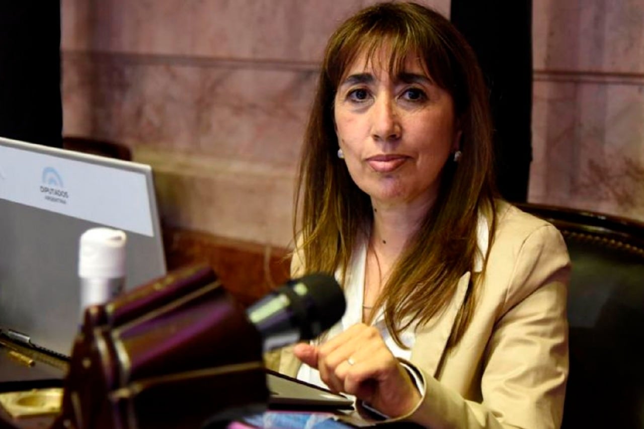 La diputada Roxana Reyes (URC) ya cumplió un mandato y fue designada para uno nuevo para el cual aún no juró.