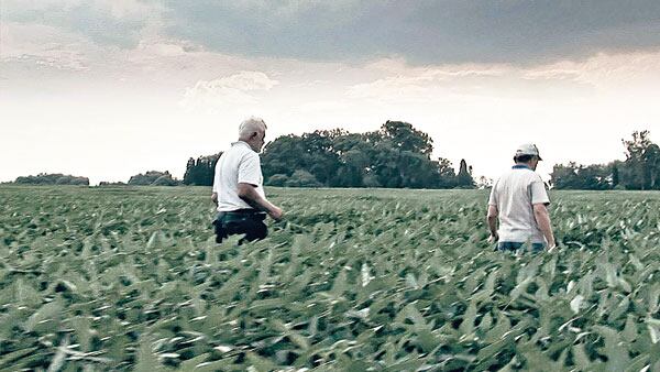 La soja, un negocio con pocos ganadores y muchos perdedores, entre ellos la población envenenada.