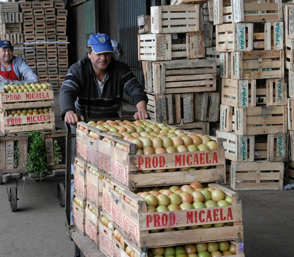 “Hay que hablar de retenciones, pero segmentadas para no cometer el mismo error que con la 125”, opinó Levaggi.