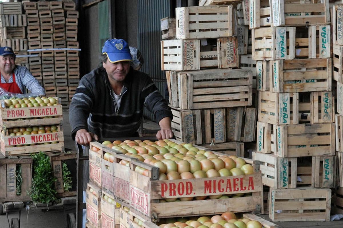 “Hay que hablar de retenciones, pero segmentadas para no cometer el mismo error que con la 125”, opinó Levaggi.