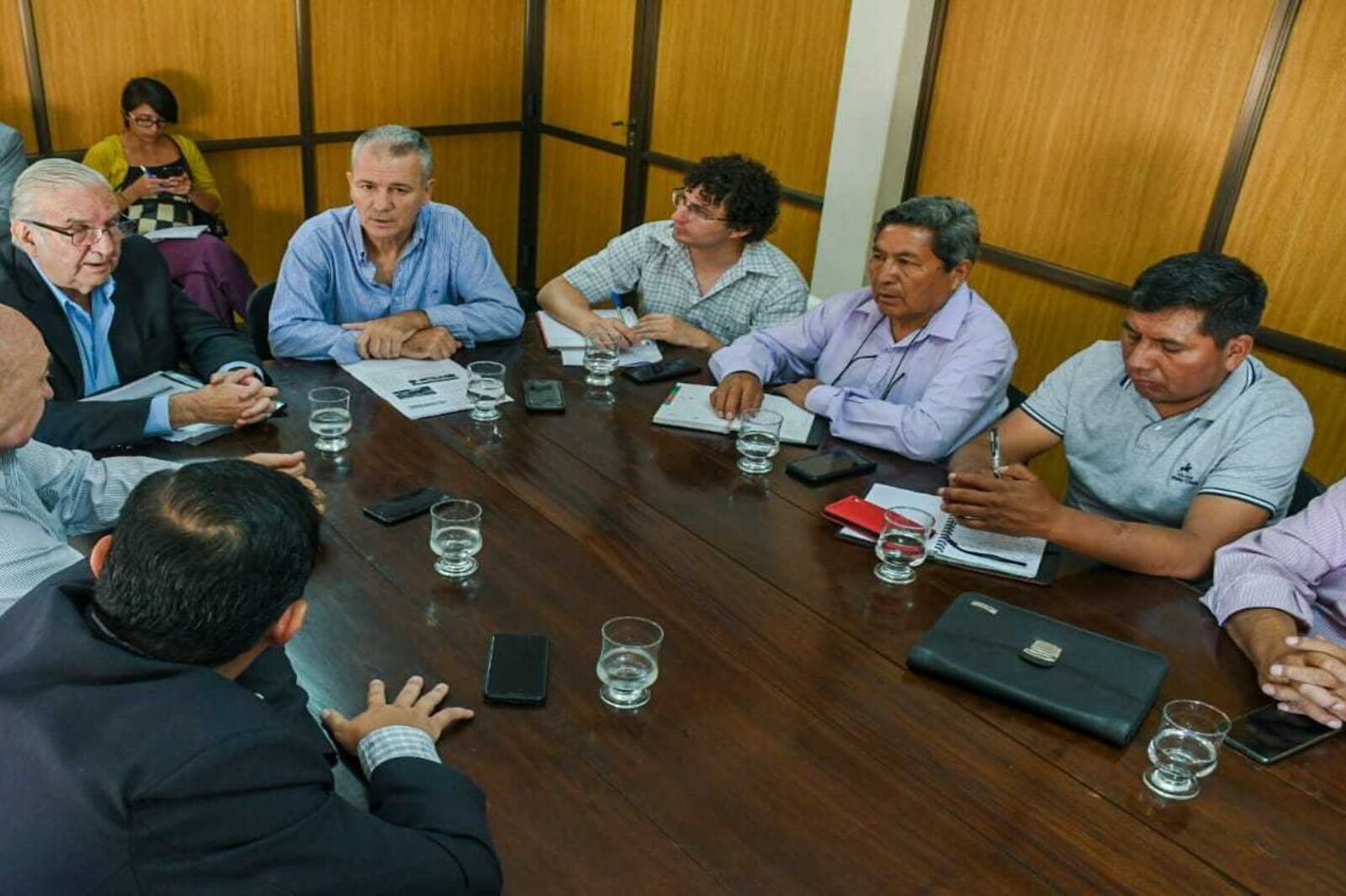 Carlos Saravia en el Senado
