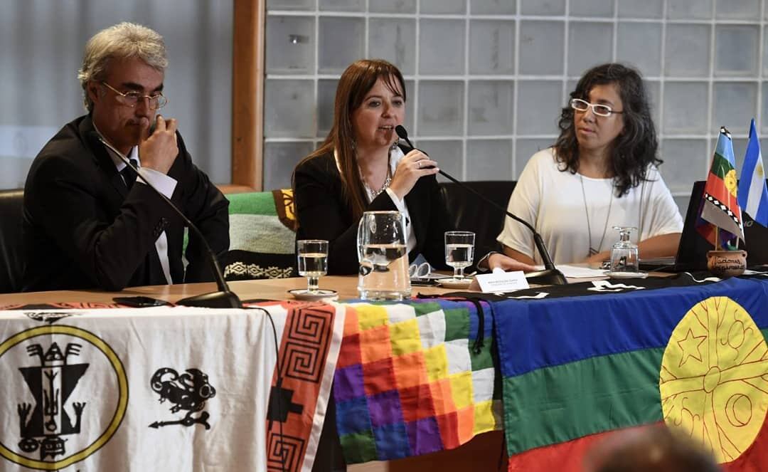 Odarda creó y presidió la comisión de Derecho Indígena en el Senado. En 2018, junto a comunidades originarias, impulsó el proyecto de propiedad comunitaria indígena.