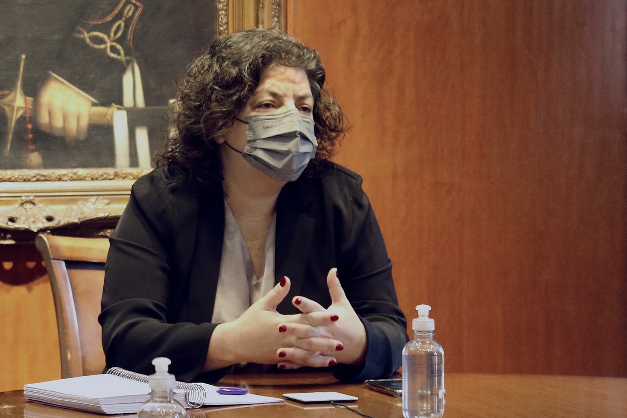 En la reunión virtual con cientícos de Emiratos Árabes participaron Cara Vizzotti y Cecilia Nicolini.