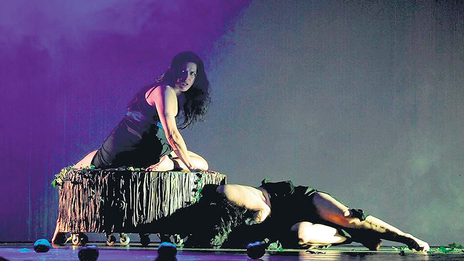 Dentro del apartado “Teatro Internacional” se presentará IncheVilú, de Chile.