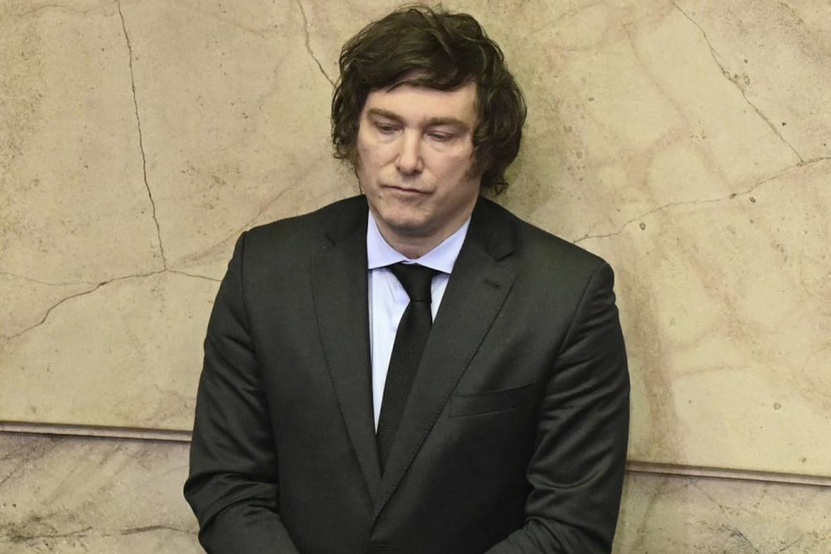 La situación interna de La Libertad Avanza complica la campaña de Milei.