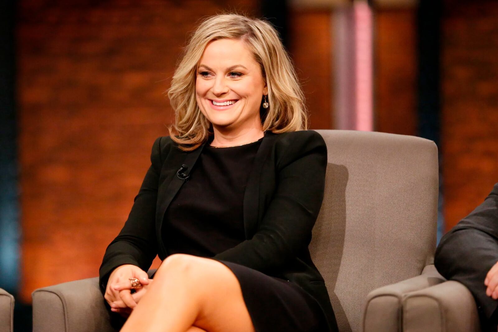 Amy Poehler ha coconducido la entrega de los Globos de Oro en cuatro oportunidades.