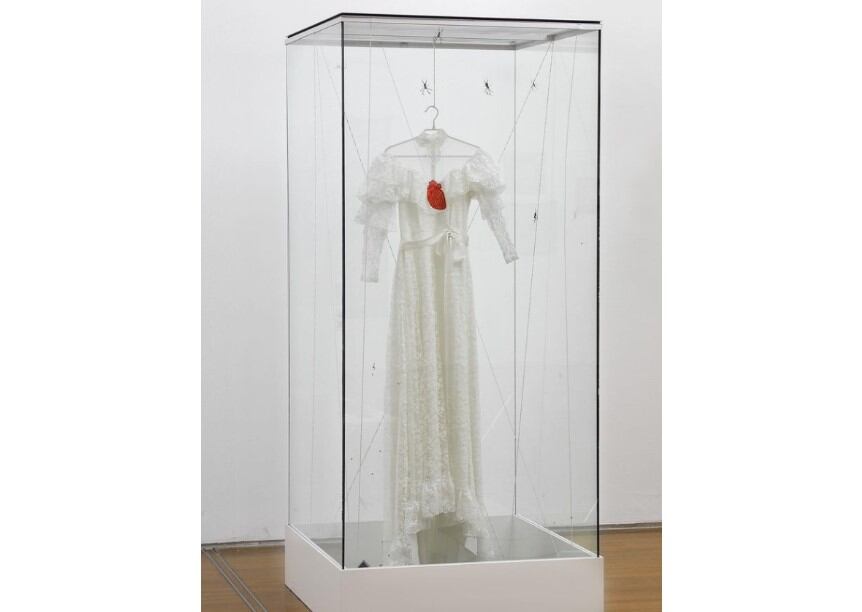 El reclamo vino de militantes antiespecitas, quienes aseguraron que las arañas debían estar en su habitat natural. Foto: Nacho Iasparra/MALBA