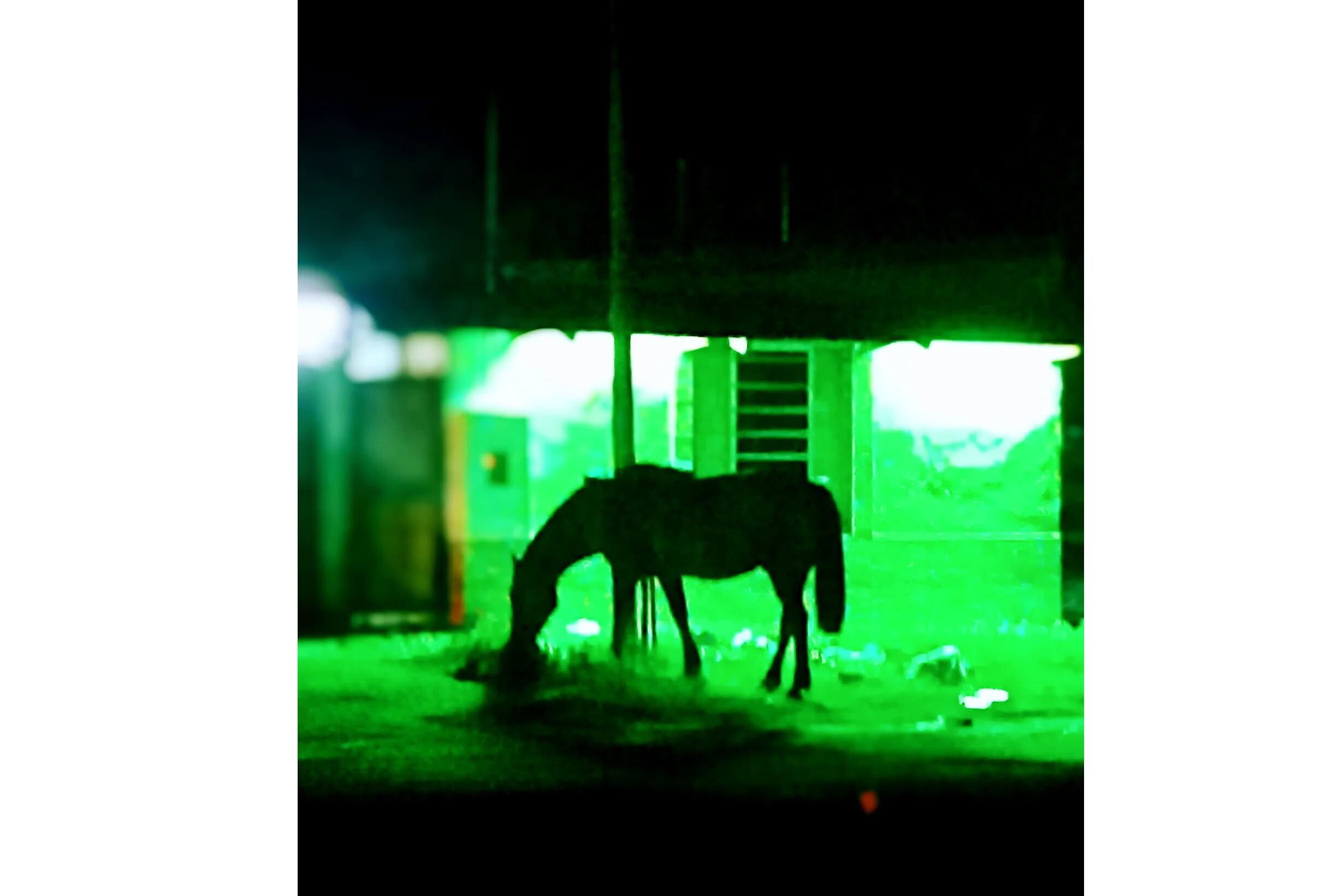 Siluetas de Chernobyl, por @maricelcioce.